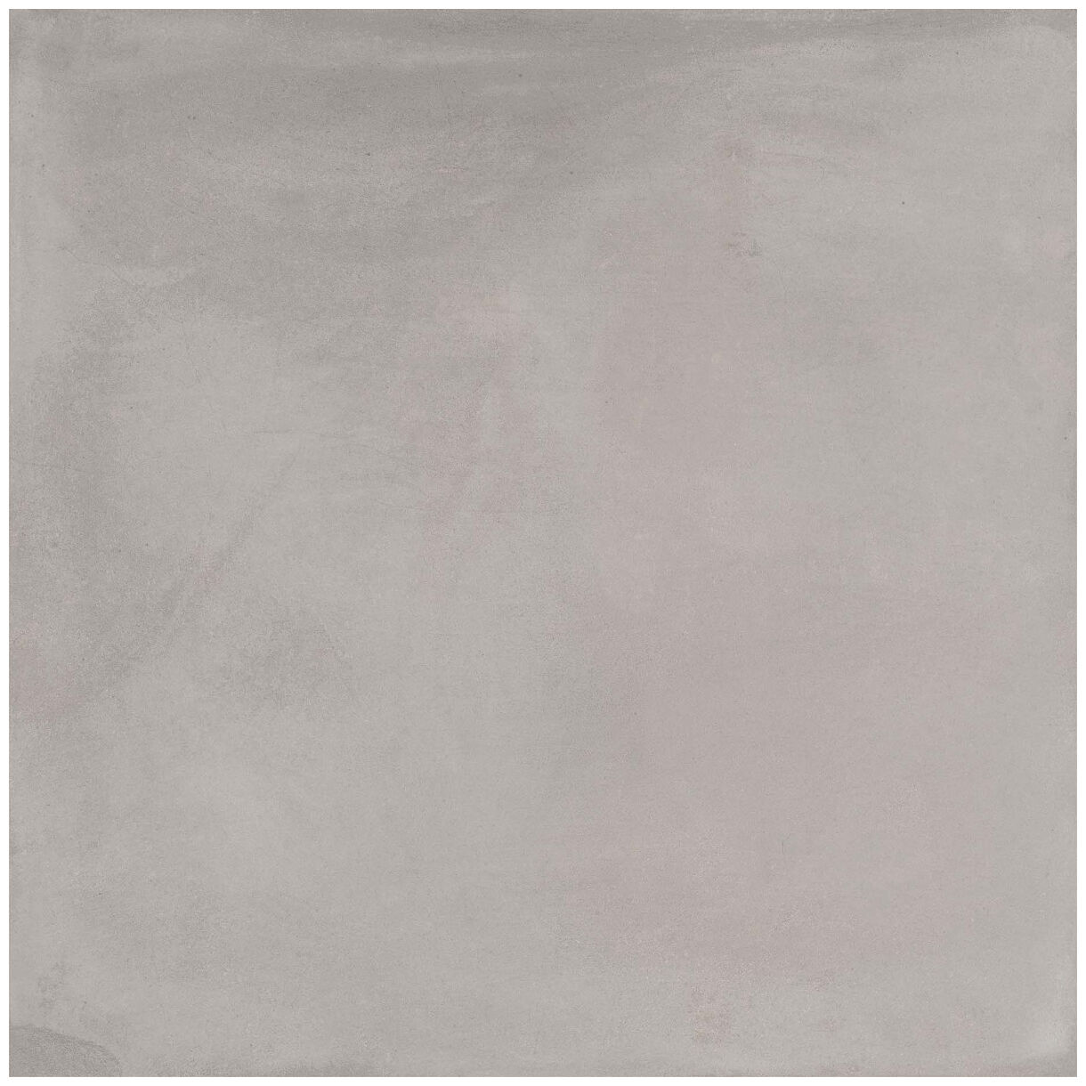 vives laverton-r gris gres rektyfikowany 80x80 - zdjęcie główne