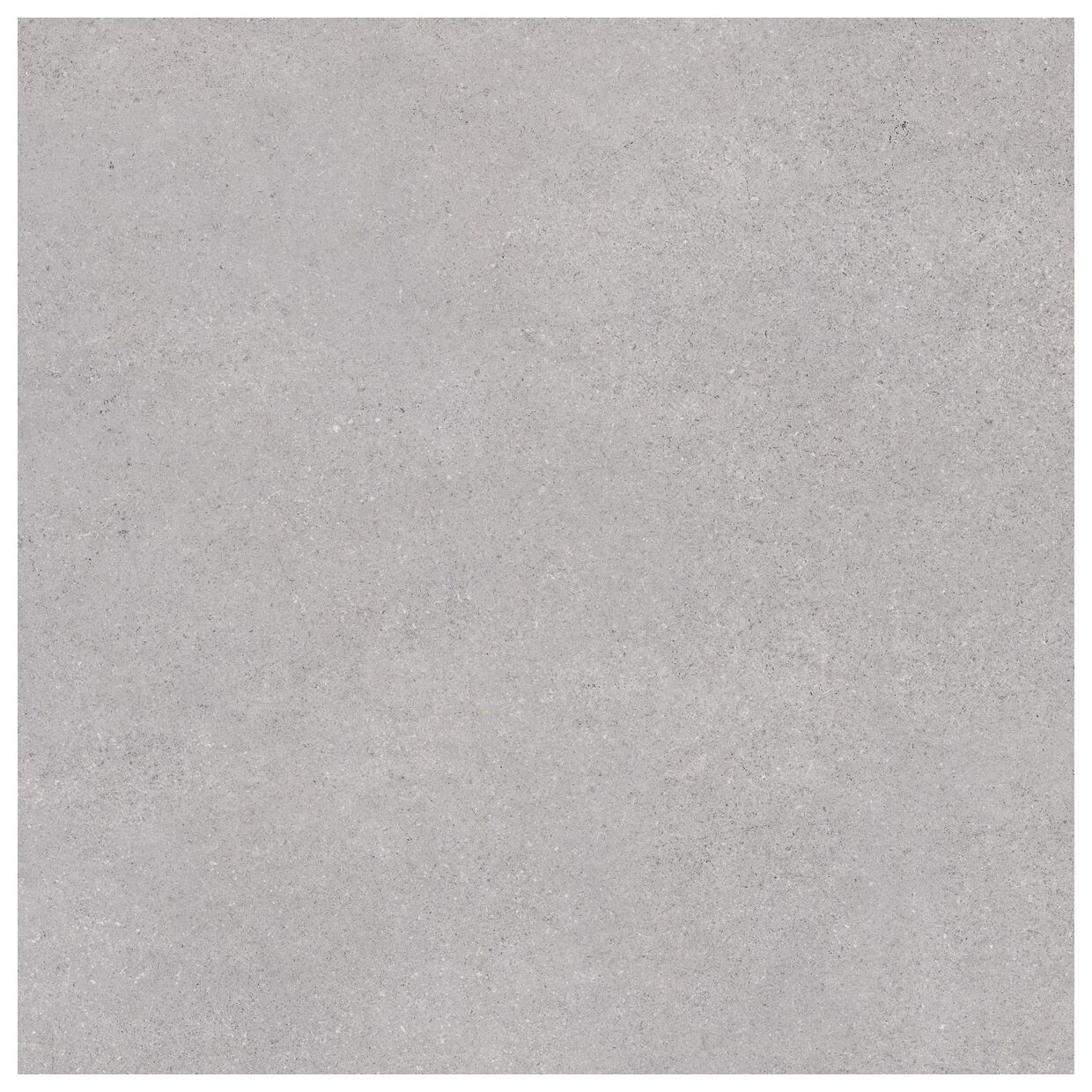 vives nassau-r gris gres rektyfikowany 80x80 - zdjęcie główne