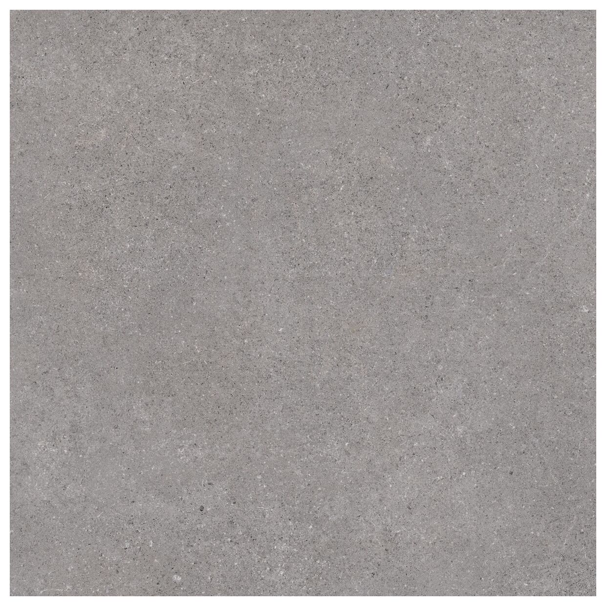 vives nassau grafito gres 60x60 - zdjęcie główne