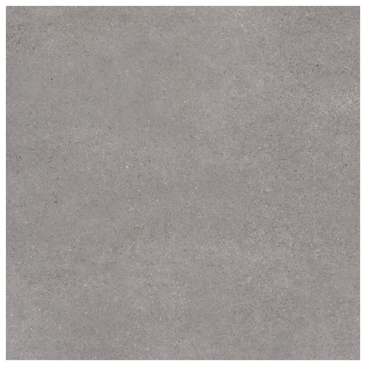 vives nassau-r grafito gres rektyfikowany 80x80 - zdjęcie główne