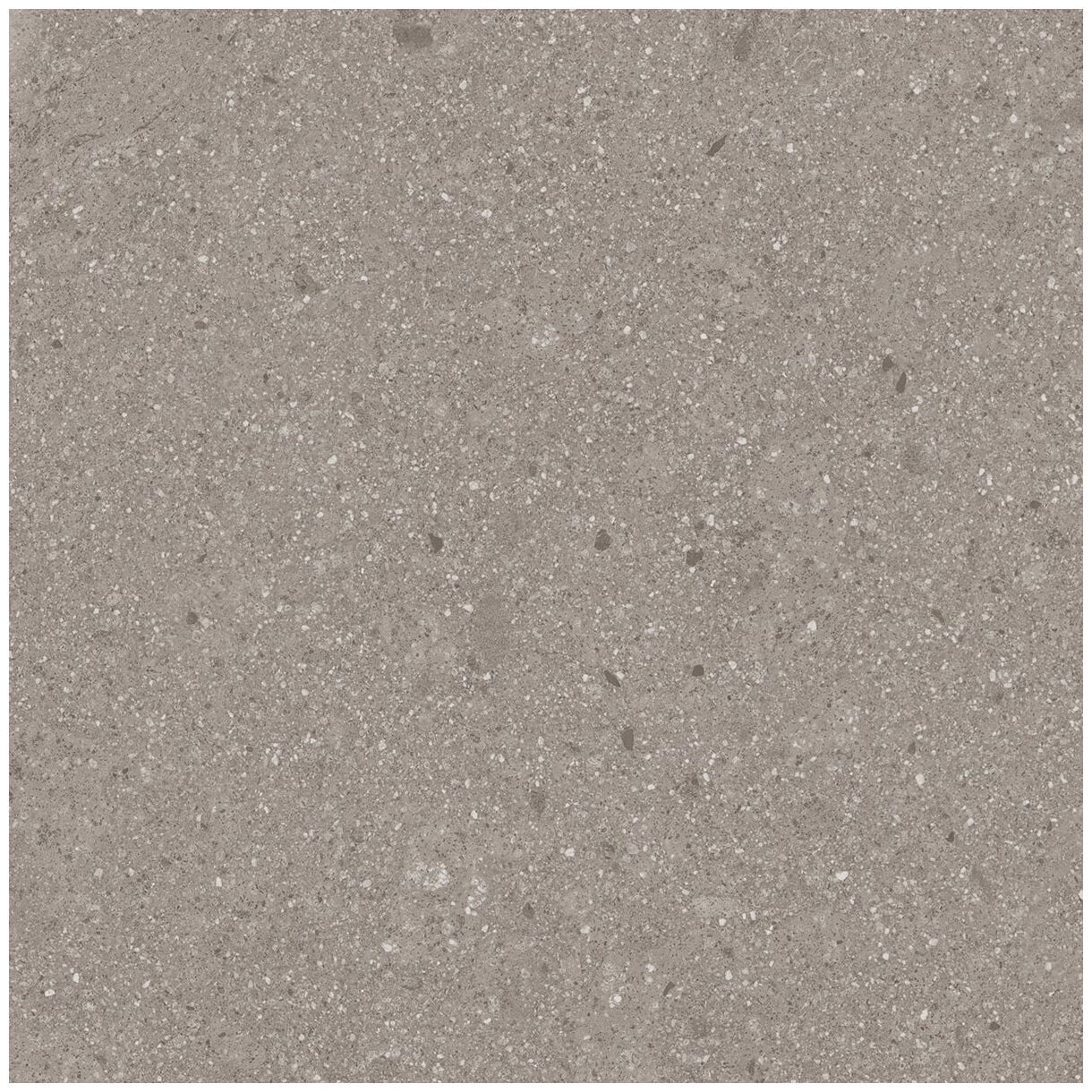 vives gea nuez gres rektyfikowany 60x60 - zdjęcie główne