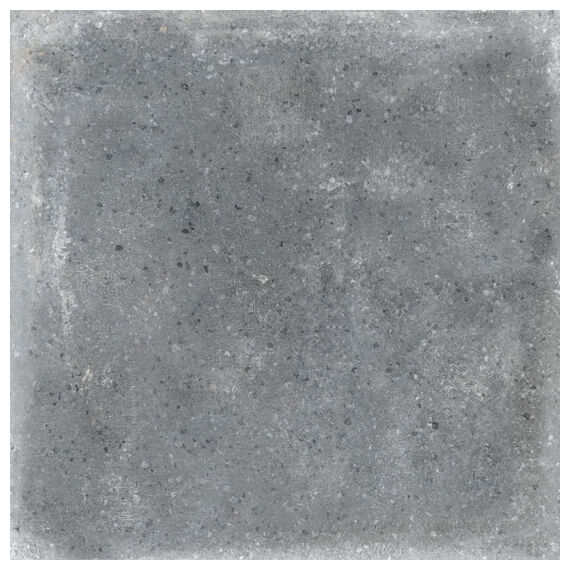 vives orchard grafito gres 20x20 - zdjęcie główne