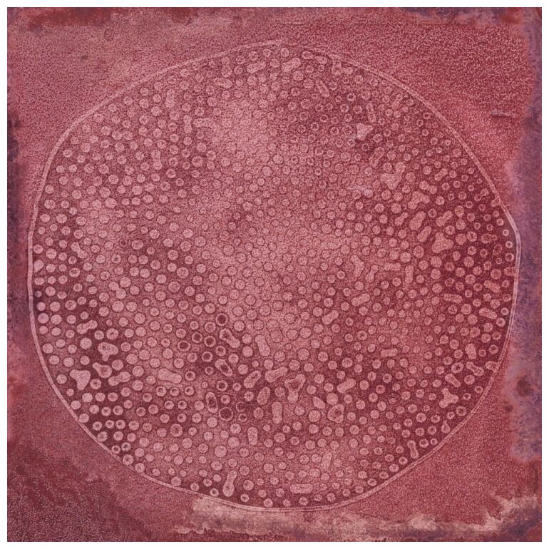 vives carlo granate-b płytka ścienna 20x20 - zdjęcie główne