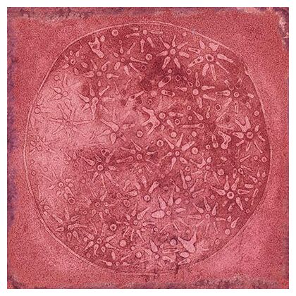 vives carlo granate-b płytka ścienna 20x20 - zdjęcie nr: 2