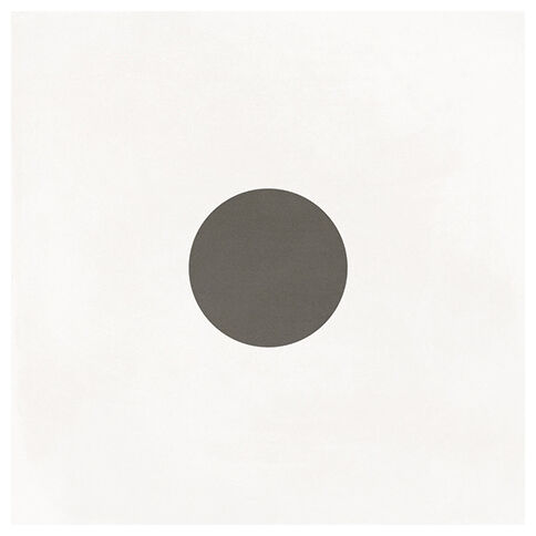 vives wha-r gres rektyfikowany 15x15 - zdjęcie główne