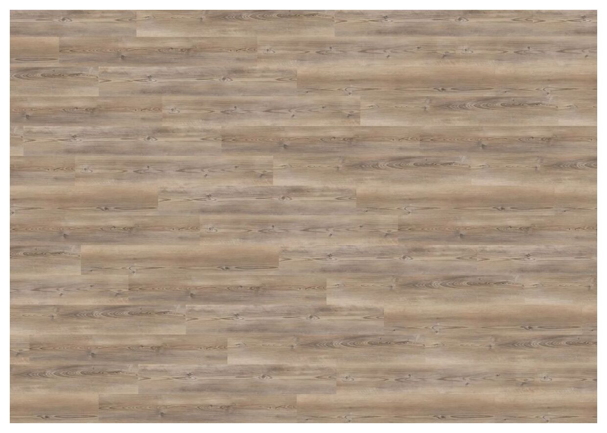 Wineo Coast Pine Taupe Podłoga Winylowa 120x18 (DB284WLL)