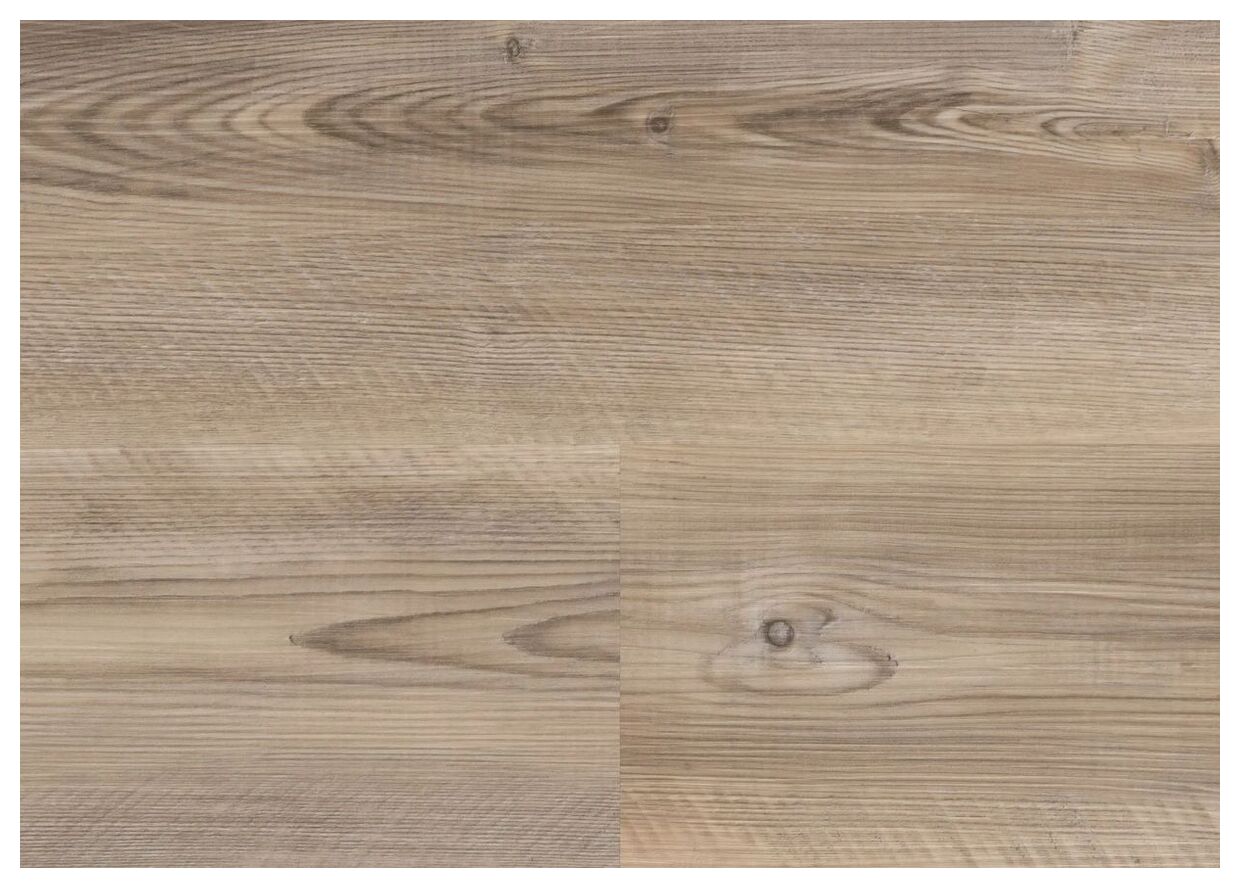 Wineo Coast Pine Taupe Podłoga Winylowa 120x18 (DB284WLL) - zdjęcie nr: 2