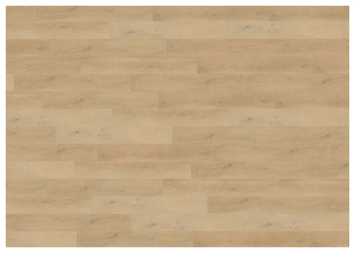 Wineo Plain Oak Beige Podłoga Winylowa 120x18 (DB281WL)