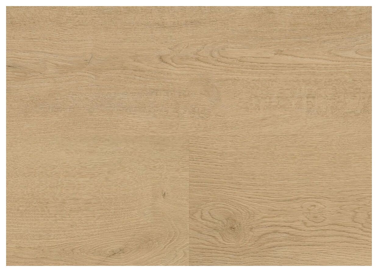 Wineo Plain Oak Beige Podłoga Winylowa 120x18 (DB281WL) - zdjęcie nr: 2