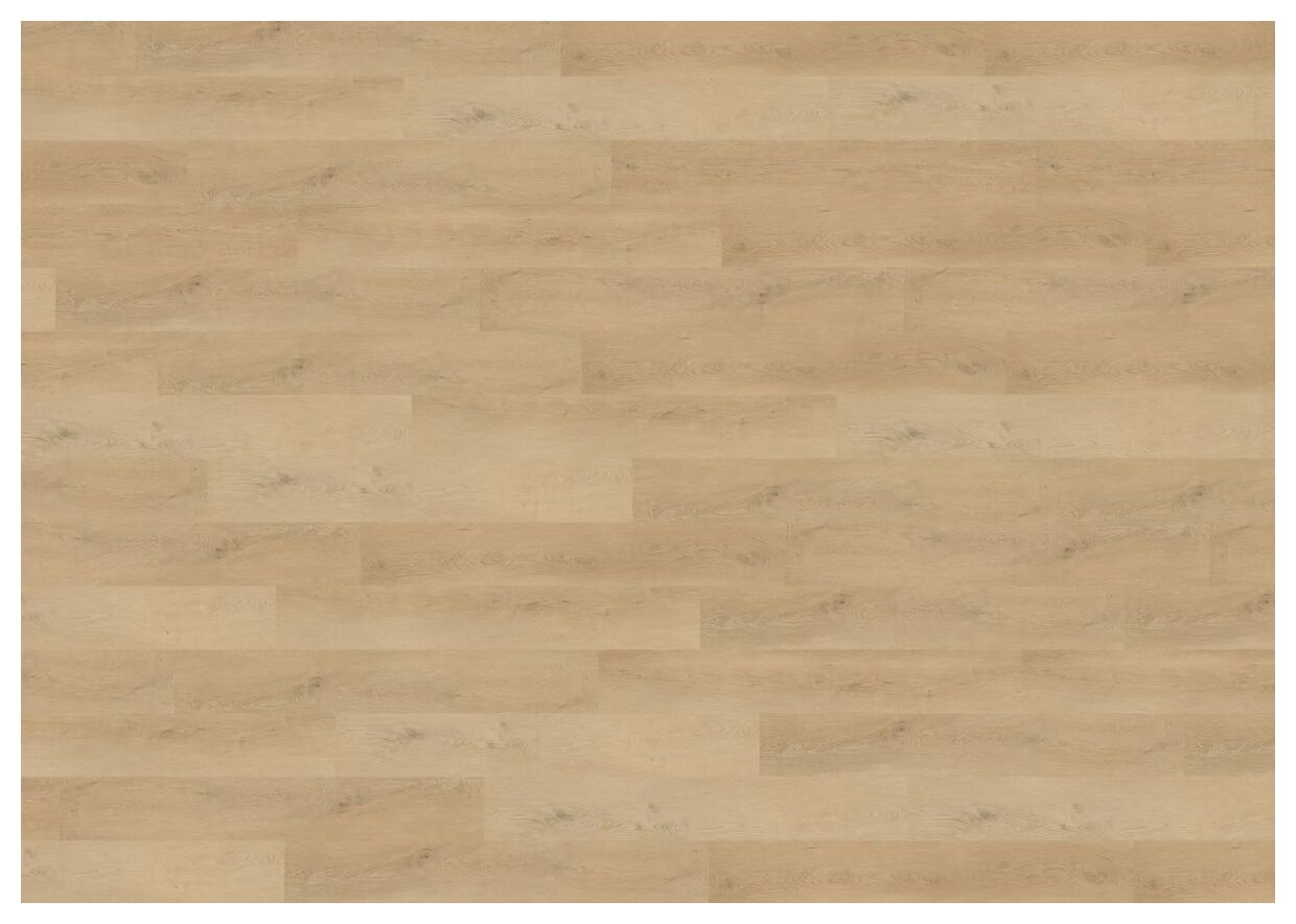 Wineo Plain Oak Beige Podłoga Winylowa 122.2x18.2 (MLD281WL)