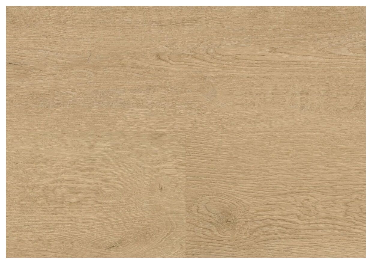 Wineo Plain Oak Beige Podłoga Winylowa 122.2x18.2 (MLD281WL) - zdjęcie nr: 2