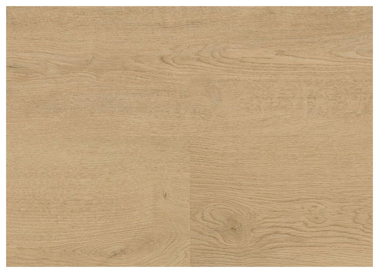 Wineo Plain Oak Beige Podłoga Winylowa 122x18 (RLC281WL) - zdjęcie nr: 2