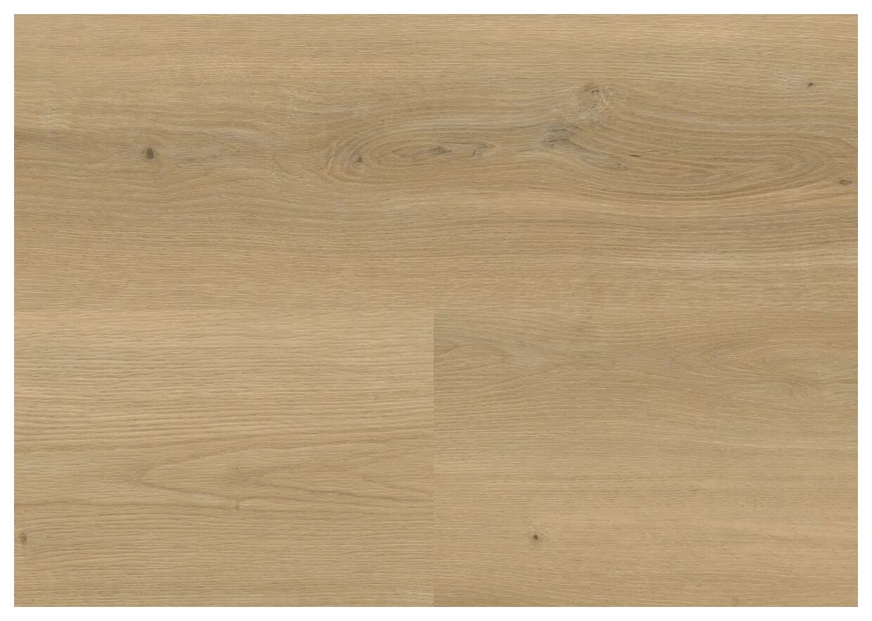Wineo Stavanger Oak Nature Podłoga Winylowa 150.5x23.5 (DB833WXL) - zdjęcie nr: 2