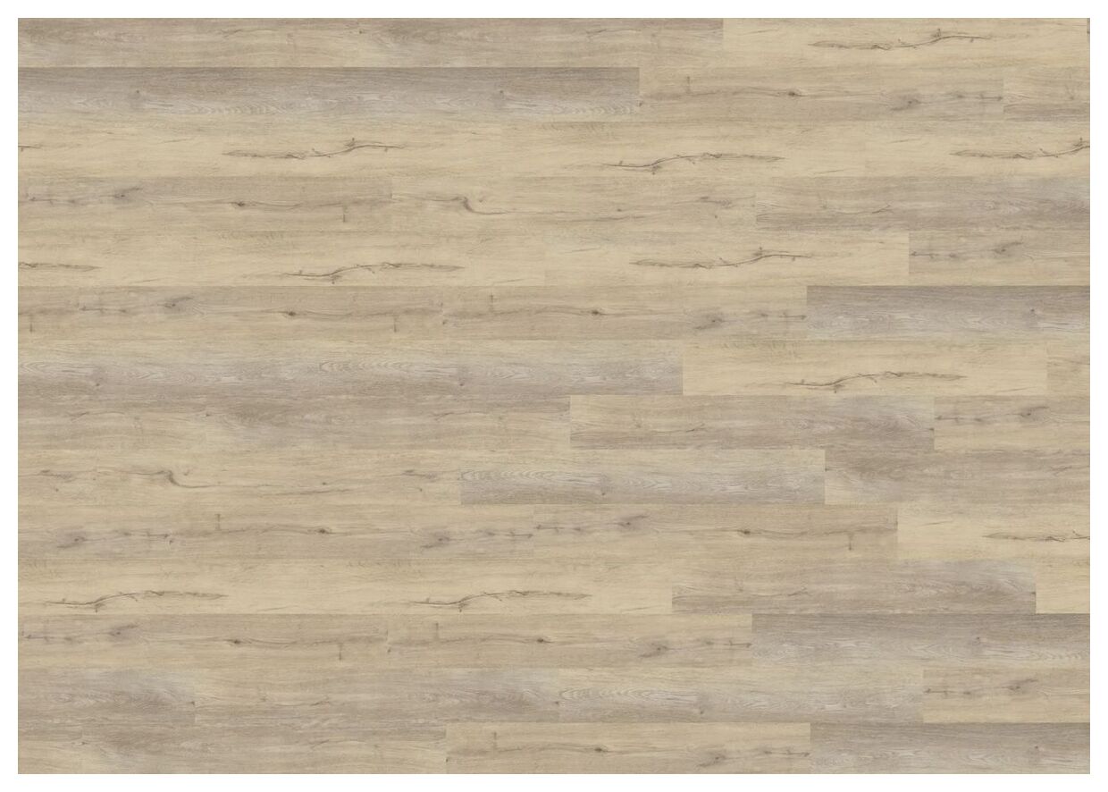 Wineo Stockholm Oak Taupe Podłoga Winylowa 120x18 (DB816WL)