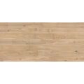 dąb banana song grande 220x18x1.4 (1wg000538)