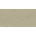 PARADYŻ BERGDUST BEIGE MAT GRES REKTYFIKOWANY 59.8X119.8 