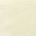 DUNE BERLIN BONE MATT GRES 14.7X14.7 (188064) 
