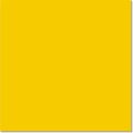 VIVES LIMON PŁYTKA PODŁOGOWA 20X20 
