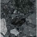 VIVES BASTIA NEGRO TACO 4X4 