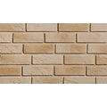 STEGU PARMA 2 BEIGE KAMIEŃ DEKORACYJNY 