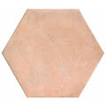 REALONDA PARMA COTTO GRES 48.5X56 