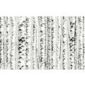WIKA BIRCH DEKOR 25X40 