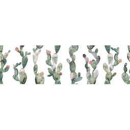 aparici glimpse cactus ornato dekor 29.75x99.55 