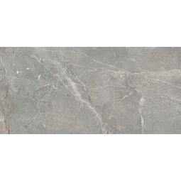 Ape Ceramica, Augustus, APE CERAMICA AUGUSTUS GREY ANTI-SLIP GRES REKTYFIKOWANY 60X120 