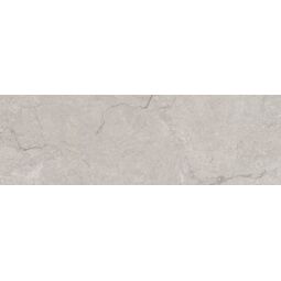 Baldocer, Kronos, BALDOCER KRONOS TAUPE PŁYTKA ŚCIENNA 40X120 