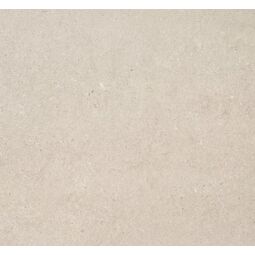 ceracasa fossil bone gres 120x120