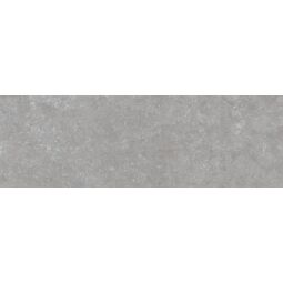 ceramica saloni b-stone gris płytka ścienna 40x120 