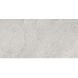 Ceramstic, Formigo, CERAMSTIC FORMIGO SILVER MAT GRES REKTYFIKOWANY 60X120 (GRS.996B.M) 