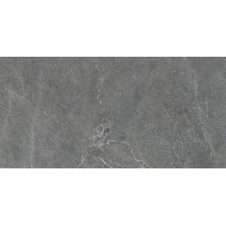 cerrad distinct grey silky cristal gres rektyfikowany 59.7x119.7