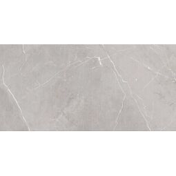 cersanit assier grey glossy dekor 29.7x60 