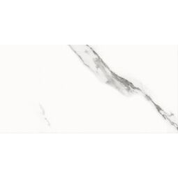 Cersanit, Special Marble, CERSANIT SPECIAL MARBLE WHITE GLOSSY PŁYTKA ŚCIENNA 29.8X59.8 