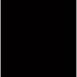 domino super black poler kostka podłogowa 9.8x9.8 
