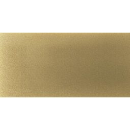 Dune, Magnet, DUNE MAGNET GOLD GRES REKTYFIKOWANY 60X120 (188600) 