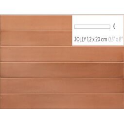 Equipe Ceramicas, Massimo, EQUIPE MASSIMO COTTO JOLLY 1.2X20 (31673) 