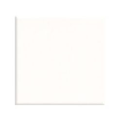 Fabresa, Unicolor, FABRESA UNICOLOR BLANCO BRILLO PŁYTKA ŚCIENNA 20X20 