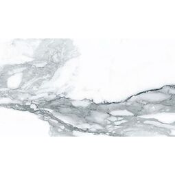 geotiles valeria plata glossy płytka ścienna 25x50 