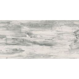 Mariner, Petrified Wood, MARINER PETRIFIED WOOD WHITE NATURALE GRES REKTYFIKOWANY 60X120 