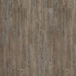 moduleo transform dryback latin pine 24868q panel winylowy 132x19.6x0.25 