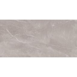 nuevo armani silver gres mat rektyfikowany 60x120