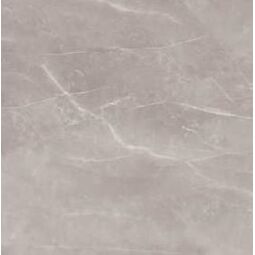 nuevo armani silver gres mat rektyfikowany 60x60