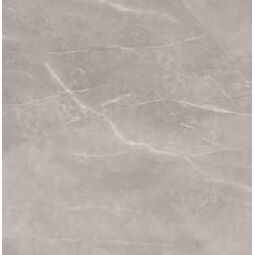 nuevo armani silver gres poler rektyfikowany 60x60