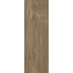 paradyż wood basic brown gres 20x60 