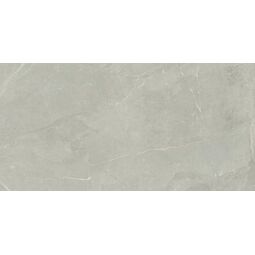 Paradyż (Classica), Fillstone, PARADYŻ FILLSTONE GREY GRES PÓLPOLER REKTYFIKOWANY 59.8X119.8 