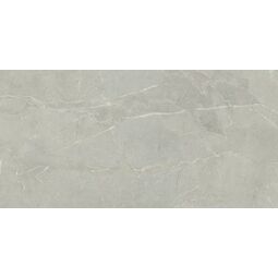 Paradyż (Classica), Fillstone, PARADYŻ FILLSTONE GREY PŁYTKA ŚCIENNA MAT REKTYFIKOWANA 29.8X59.8 