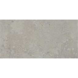 Paradyż (Classica), Freedust, PARADYŻ FREEDUST GREY MAT GRES REKTYFIKOWANY 59.8X119.8 