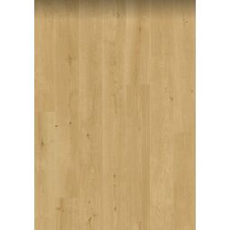Pergo, Odense Pro, PERGO DĄB PRZEJRZYSTY PANEL LAMINOWANY 205X24X0.95 (L0263-06795) 